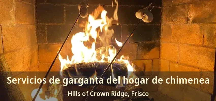 Servicios de garganta del hogar de chimenea Hills of Crown Ridge, Frisco - TX