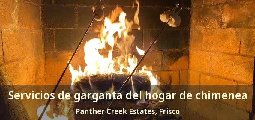 Servicios de garganta del hogar de chimenea Panther Creek Estates, Frisco - TX