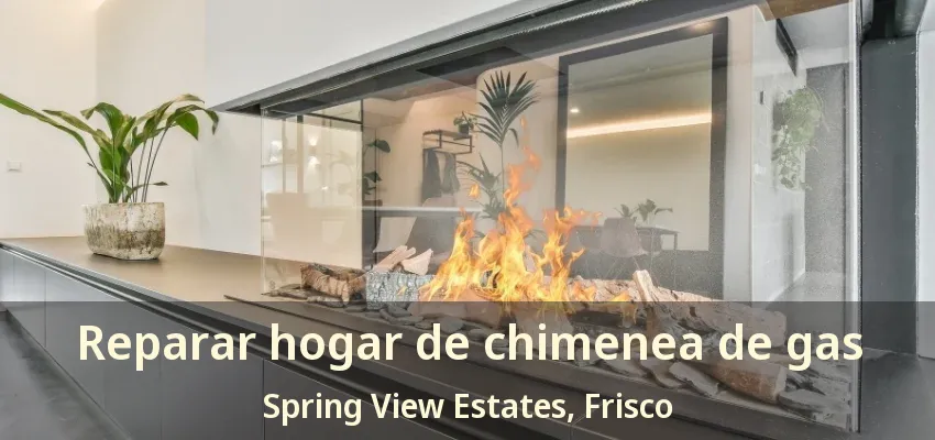 Reparar hogar de chimenea de gas Spring View Estates, Frisco - TX