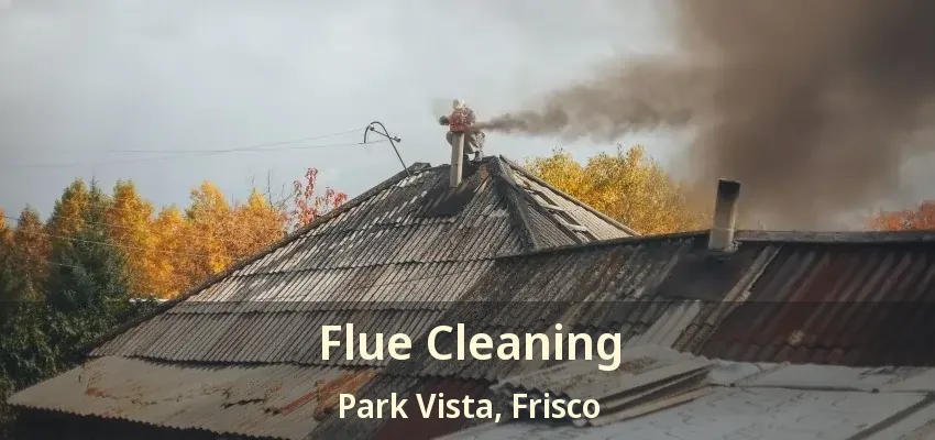 Flue Cleaning Park Vista, Frisco - TX