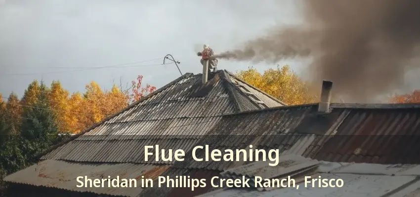 Flue Cleaning Sheridan in Phillips Creek Ranch, Frisco - TX