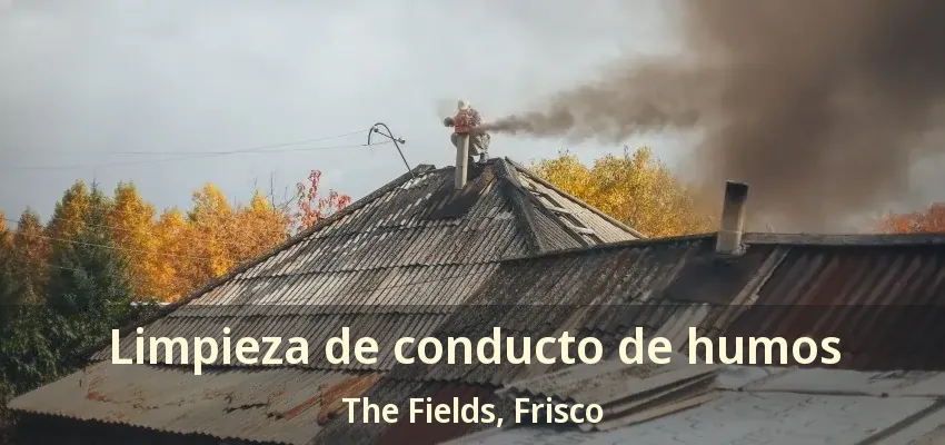 Limpieza de conducto de humos The Fields, Frisco - TX