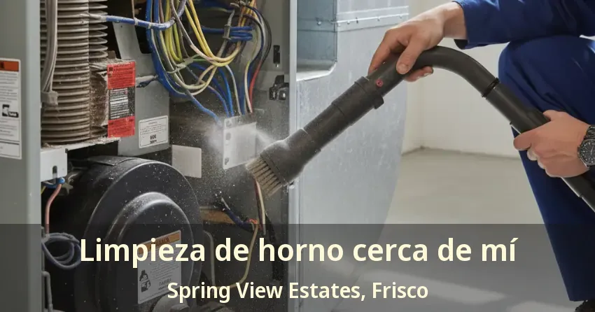Limpieza de horno cerca de mí Spring View Estates, Frisco - TX