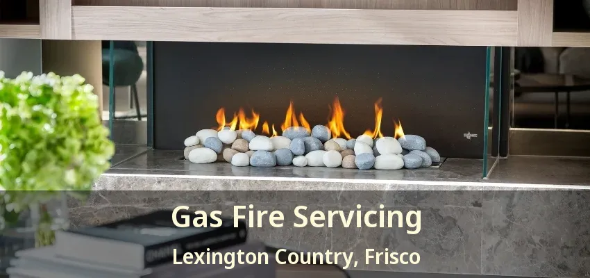 Gas Fire Servicing Lexington Country, Frisco - TX