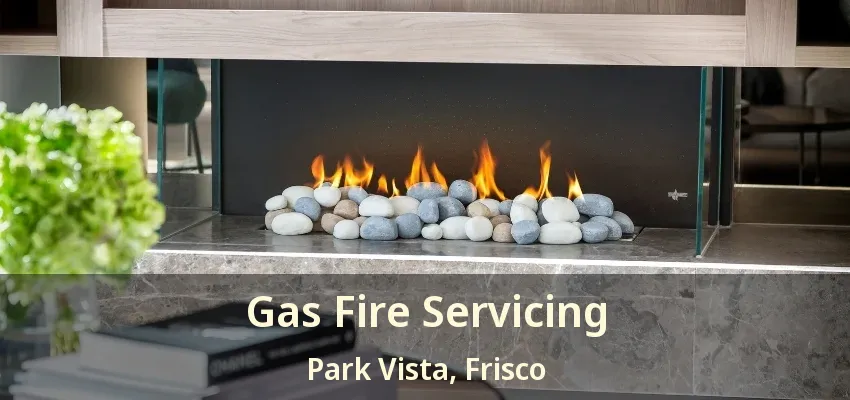 Gas Fire Servicing Park Vista, Frisco - TX
