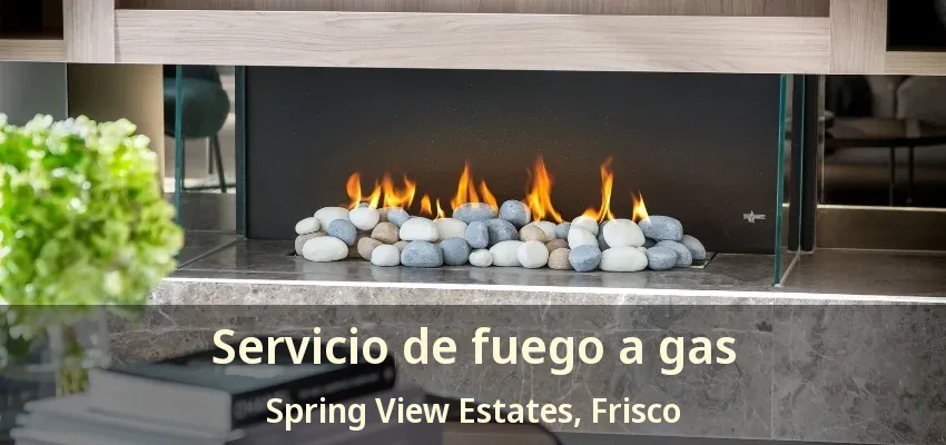 Servicio de fuego a gas Spring View Estates, Frisco - TX