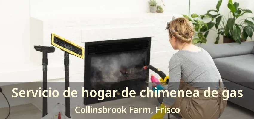 Servicio de hogar de chimenea de gas Collinsbrook Farm, Frisco - TX