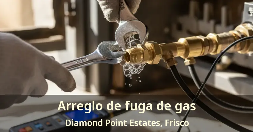 Arreglo de fuga de gas Diamond Point Estates, Frisco - TX