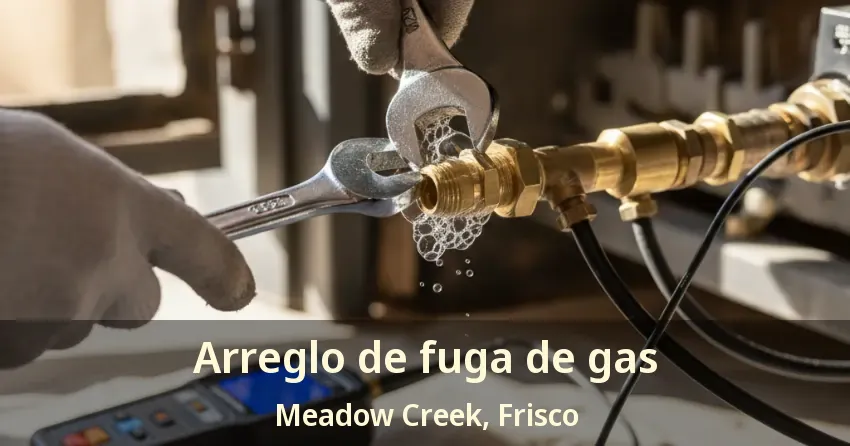 Arreglo de fuga de gas Meadow Creek, Frisco - TX