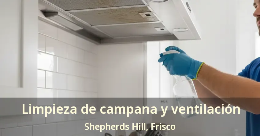 Limpieza de campana y ventilación Shepherds Hill, Frisco - TX
