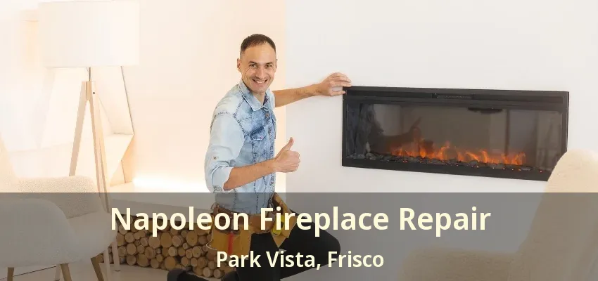 Napoleon Fireplace Repair Park Vista, Frisco - TX