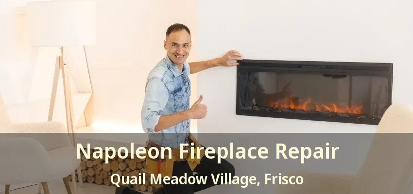 Napoleon Fireplace Repair Quail Meadow Village, Frisco - TX