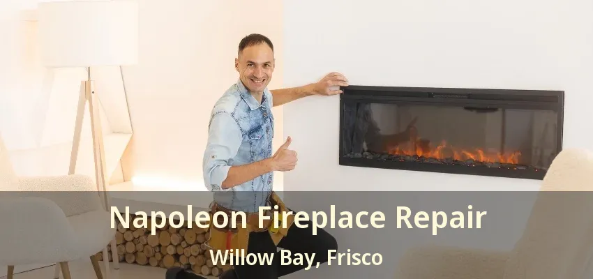 Napoleon Fireplace Repair Willow Bay, Frisco - TX