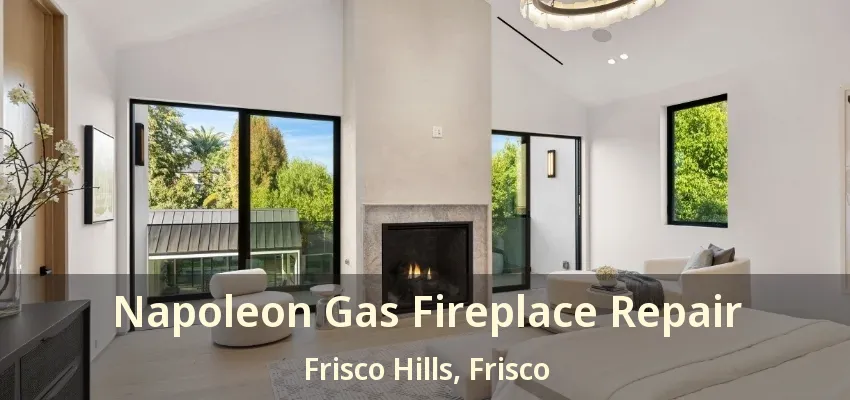 Napoleon Gas Fireplace Repair Frisco Hills, Frisco - TX