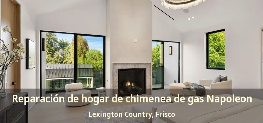 Reparación de hogar de chimenea de gas Napoleon Lexington Country, Frisco - TX