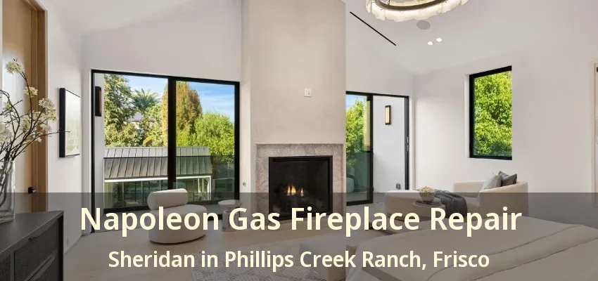 Napoleon Gas Fireplace Repair Sheridan in Phillips Creek Ranch, Frisco - TX