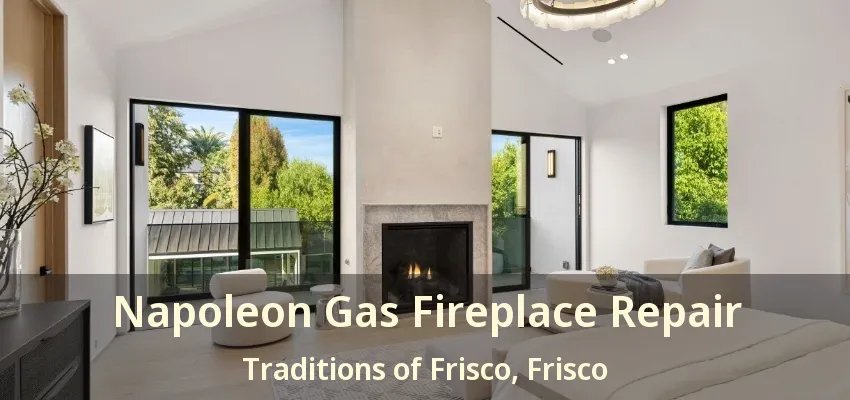 Napoleon Gas Fireplace Repair Traditions of Frisco, Frisco - TX