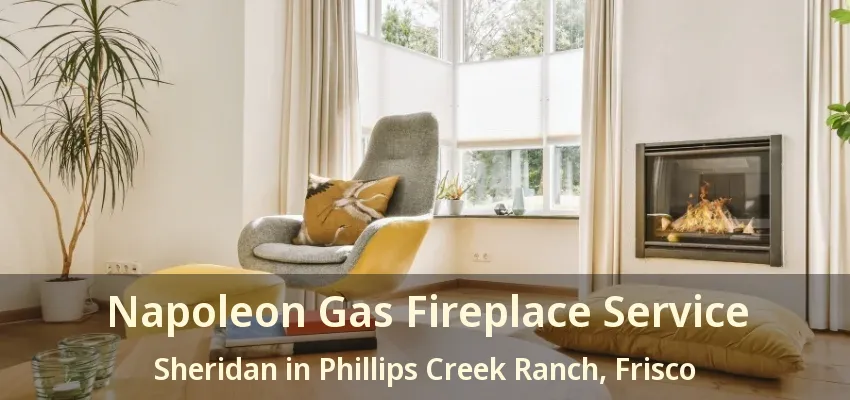Napoleon Gas Fireplace Service Sheridan in Phillips Creek Ranch, Frisco - TX
