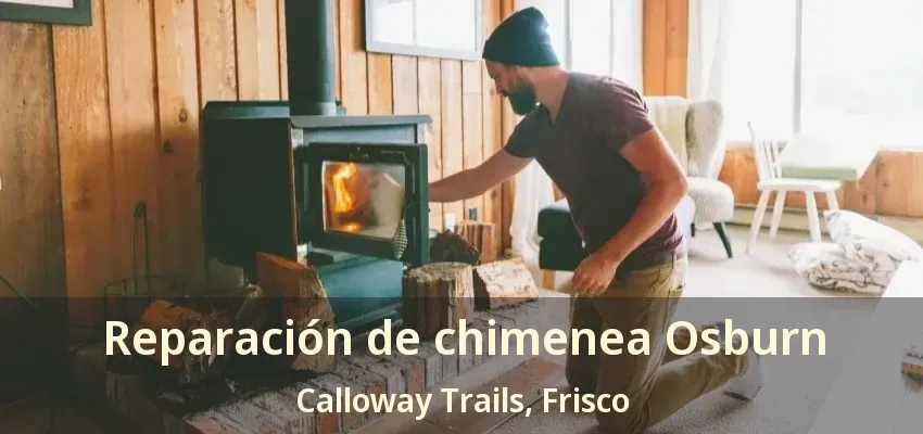 Reparación de chimenea Osburn Calloway Trails, Frisco - TX