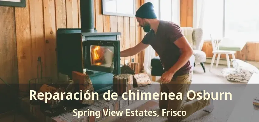 Reparación de chimenea Osburn Spring View Estates, Frisco - TX