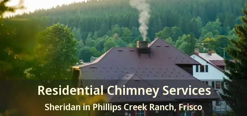 Residential Chimney Services Sheridan in Phillips Creek Ranch, Frisco - TX