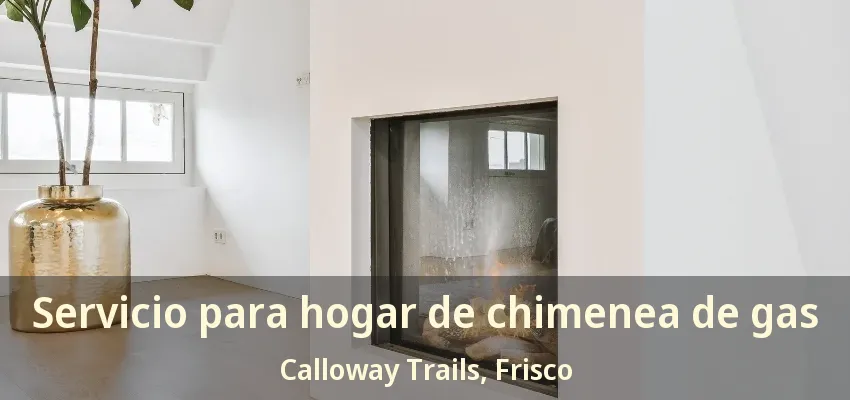 Servicio para hogar de chimenea de gas Calloway Trails, Frisco - TX
