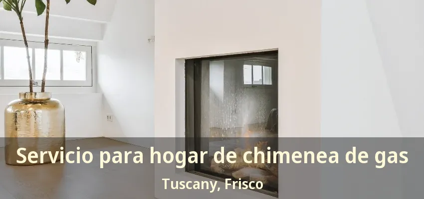 Servicio para hogar de chimenea de gas Tuscany, Frisco - TX Servicio para hogar de chimenea de gas Tuscany, Frisco - TX