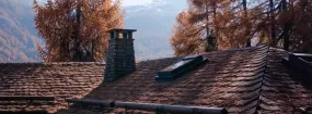 Chimney Animal Removal Waterford Falls, Frisco