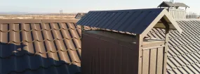 Chimney Cap Services Waterford Falls, Frisco