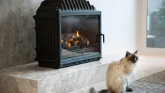 Wood Burning Fireplace Repair Waterford Falls, Frisco
